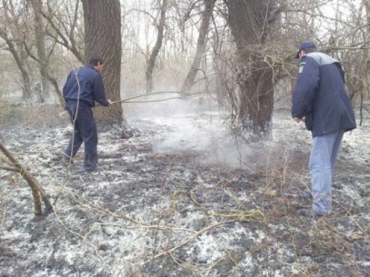 Pedepse cu închisoarea pentru cei care provoacă incendii în deltă